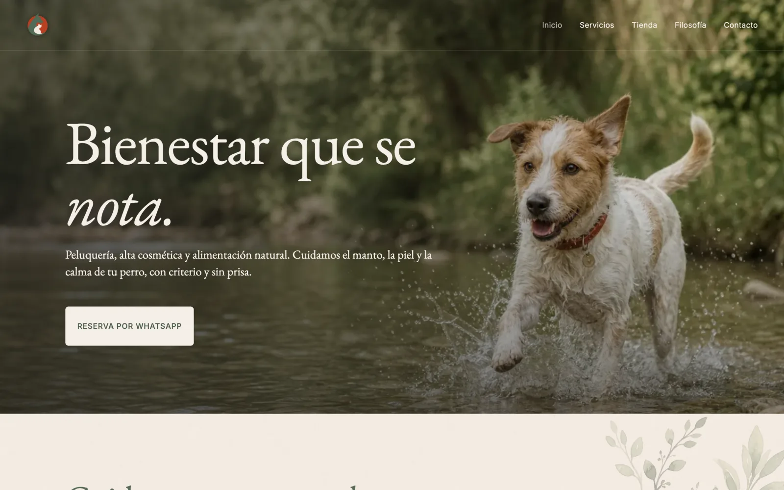 Diseño web premium para Candela Bienestar Animal — Bienestar animal · Peluquería canina · Madrid · caso de estudio LhabiaStudio Madrid